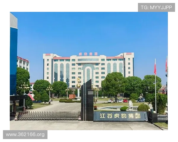 博发康安控股集团有限公司发展战略与未来展望